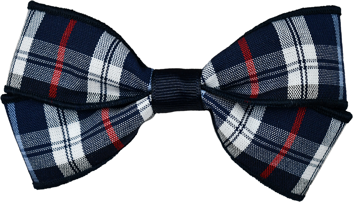 Clip Hair Bow