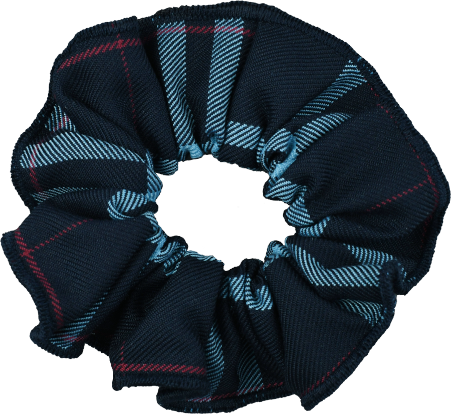 Hair Scrunchie