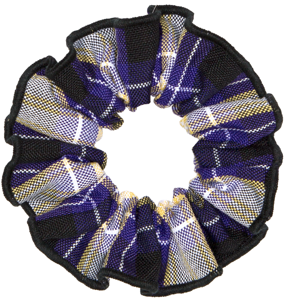 Hair Scrunchie
