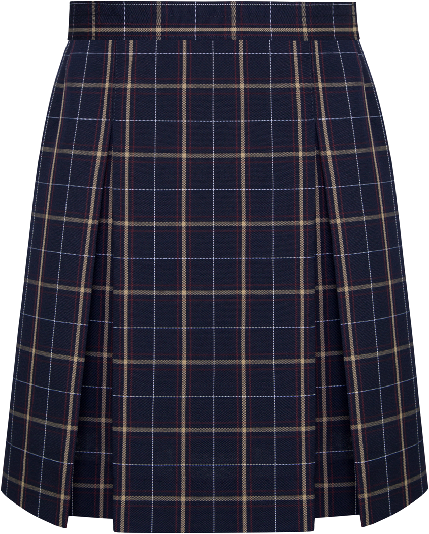 【NONCODE】Clarence Low Pleats Skirt Pleated Asymmetric Skirt – La Garçonne