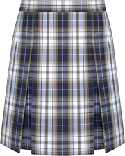 Stitched-Down Kick Pleat Skirt