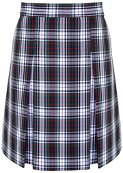 Stitched-Down Kick Pleat Skirt