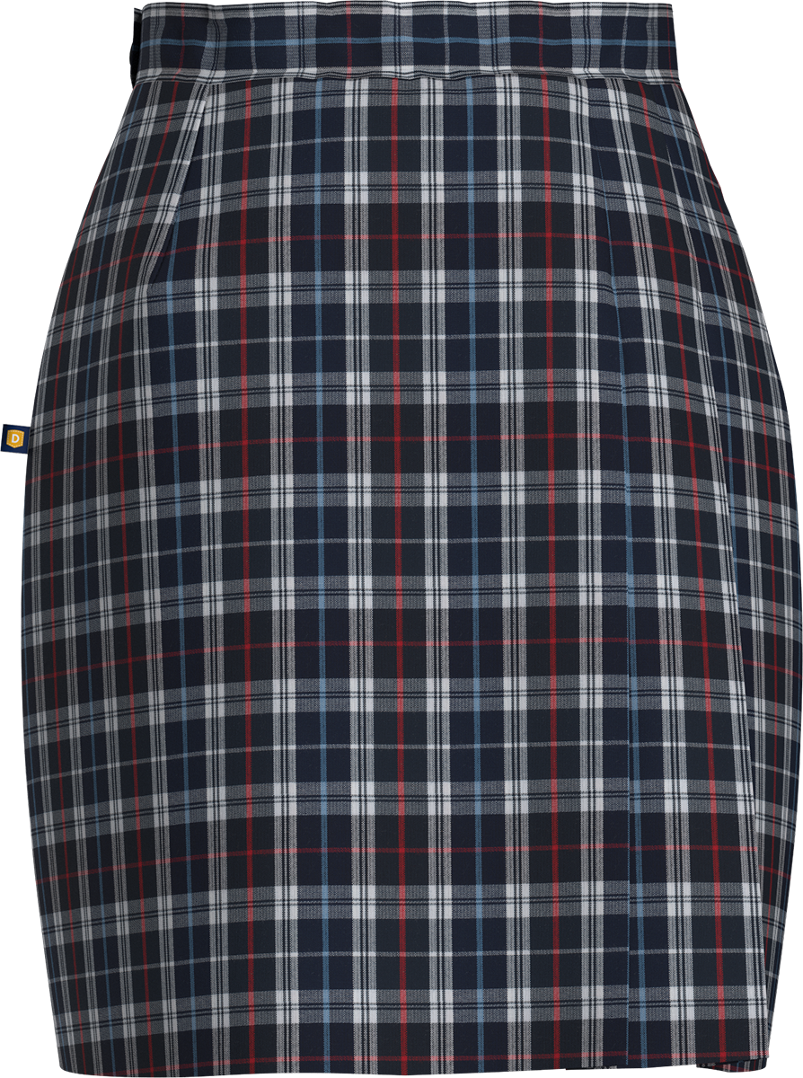 Side Pleat Skort