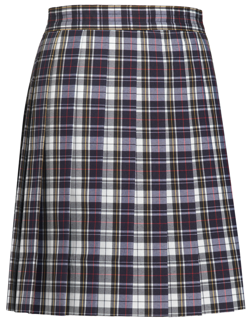 Knife Pleat Skirt