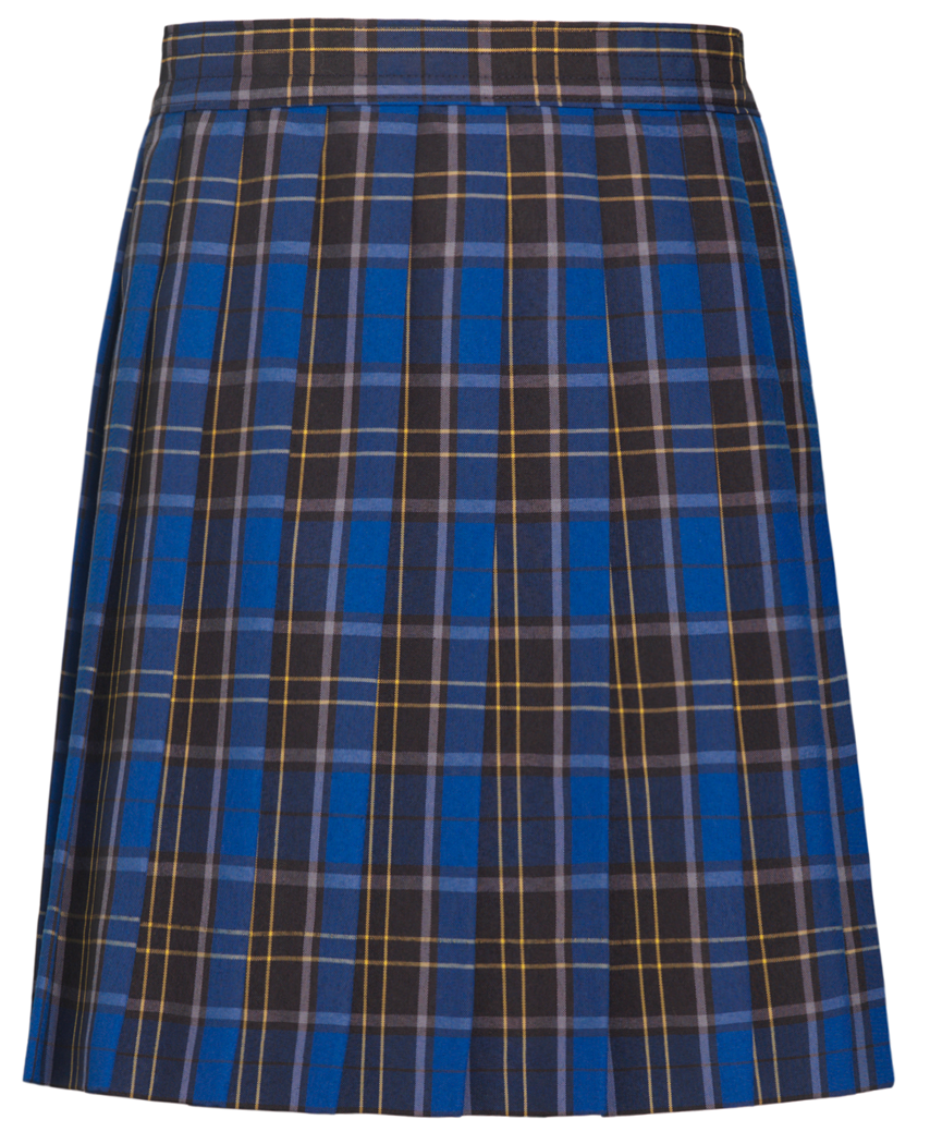 Knife Pleat Skirt