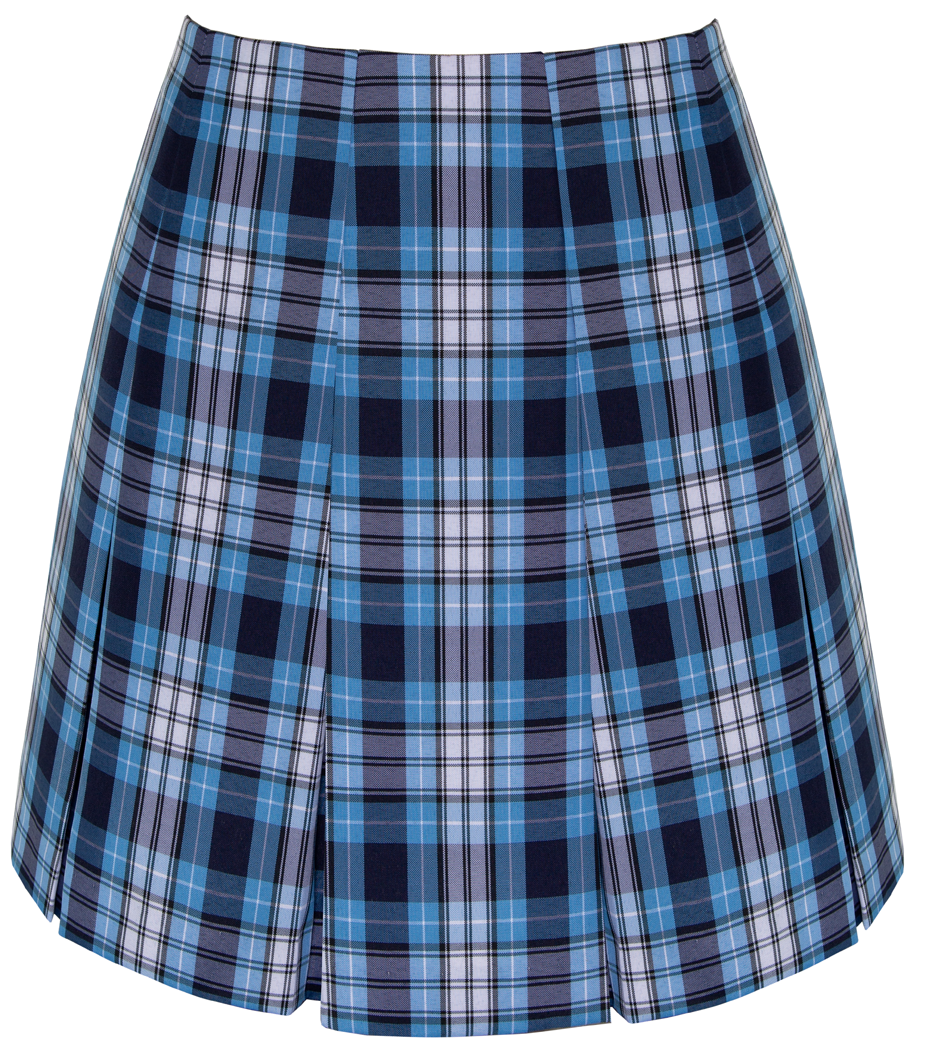 High Waist Box Pleat Skirt