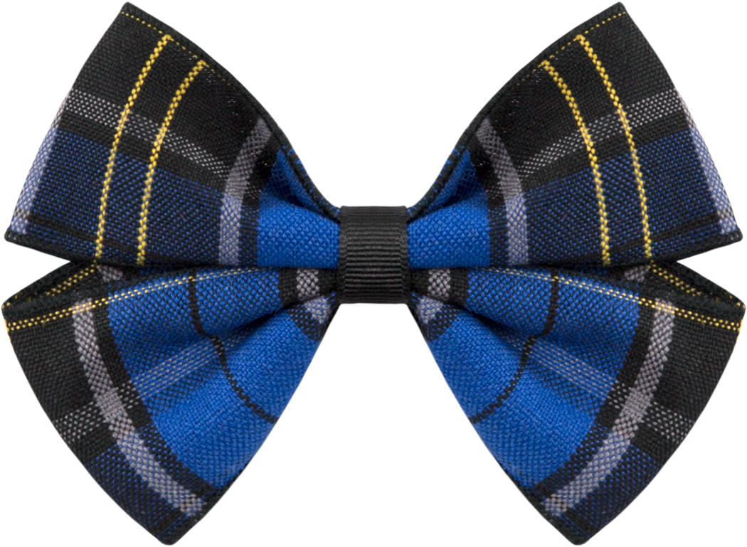 Clip Hair Bow