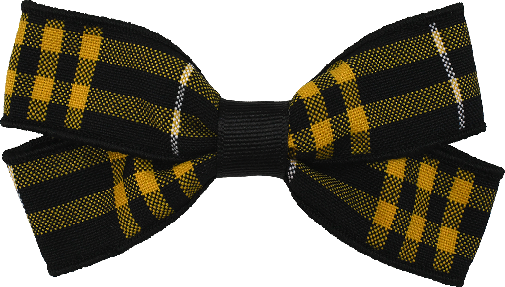 Clip Hair Bow