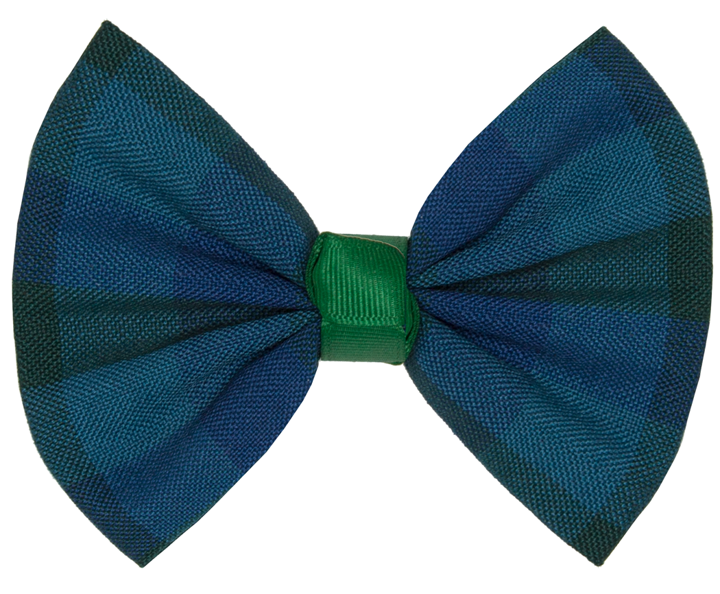 Clip Hair Bow