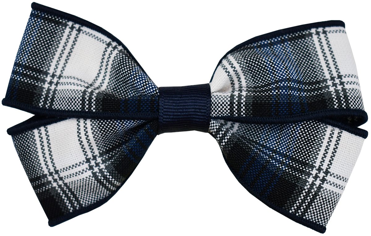 Clip Hair Bow