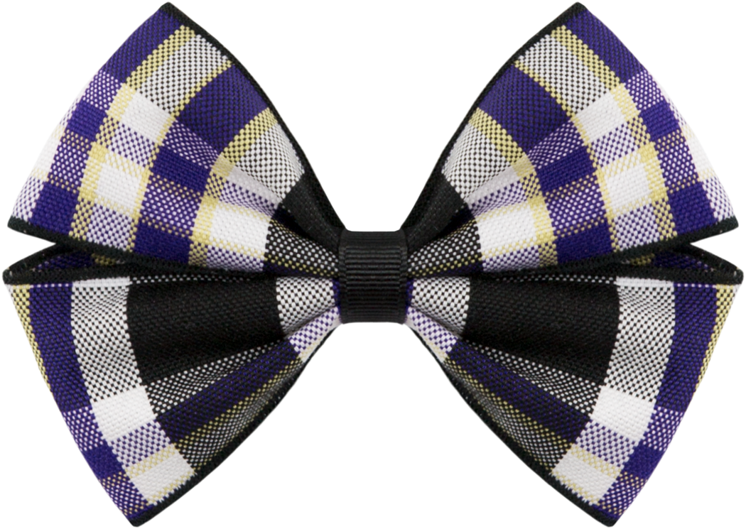 Clip Hair Bow