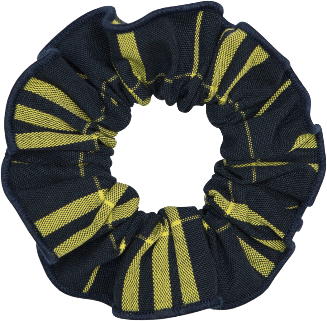Hair Scrunchie
