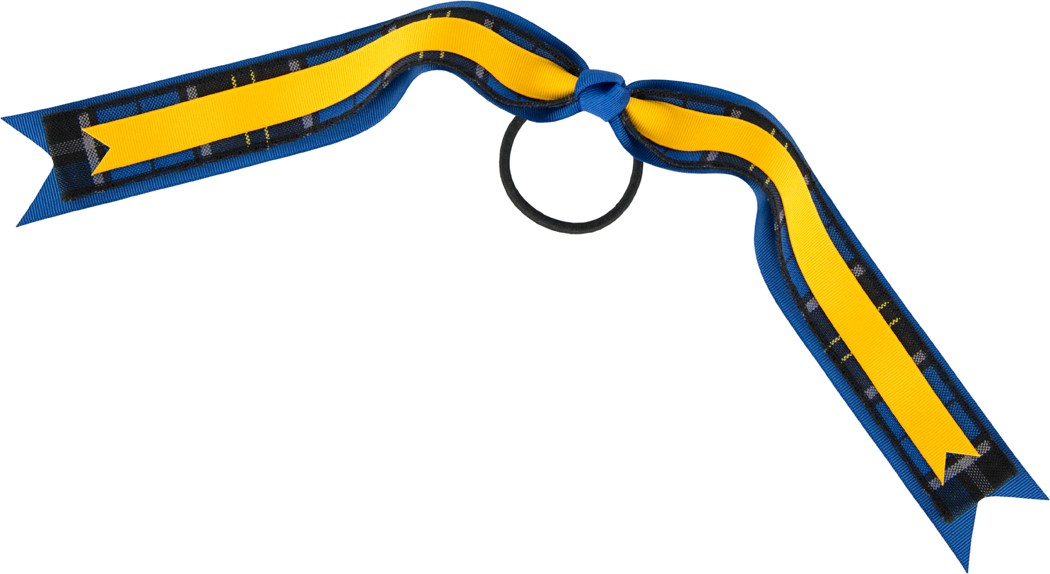 Streamer Hair Bow