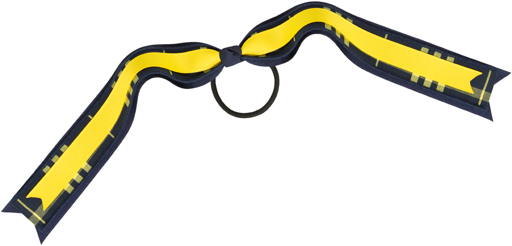 Streamer Hair Bow