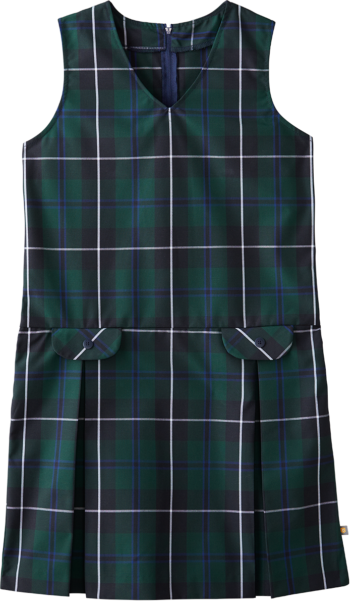 V-Neck Drop Waist Jumper
