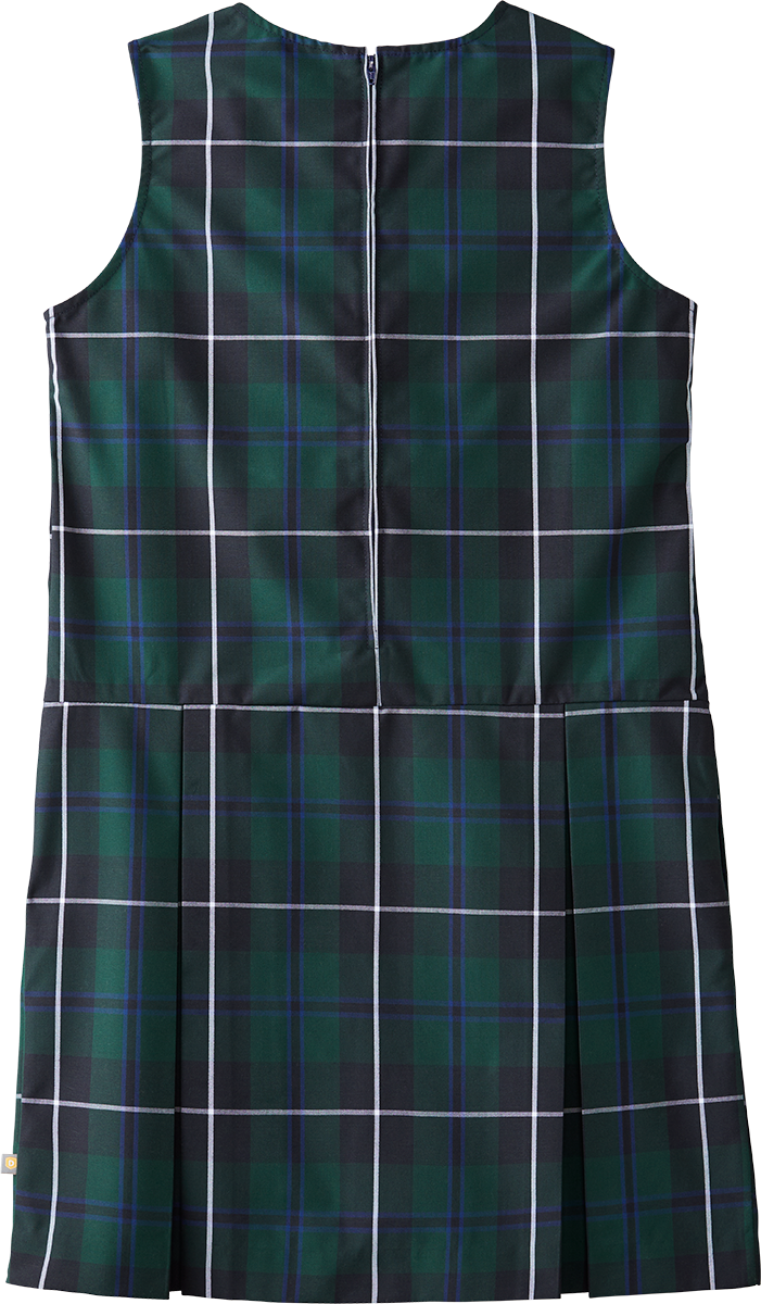V-Neck Drop Waist Jumper