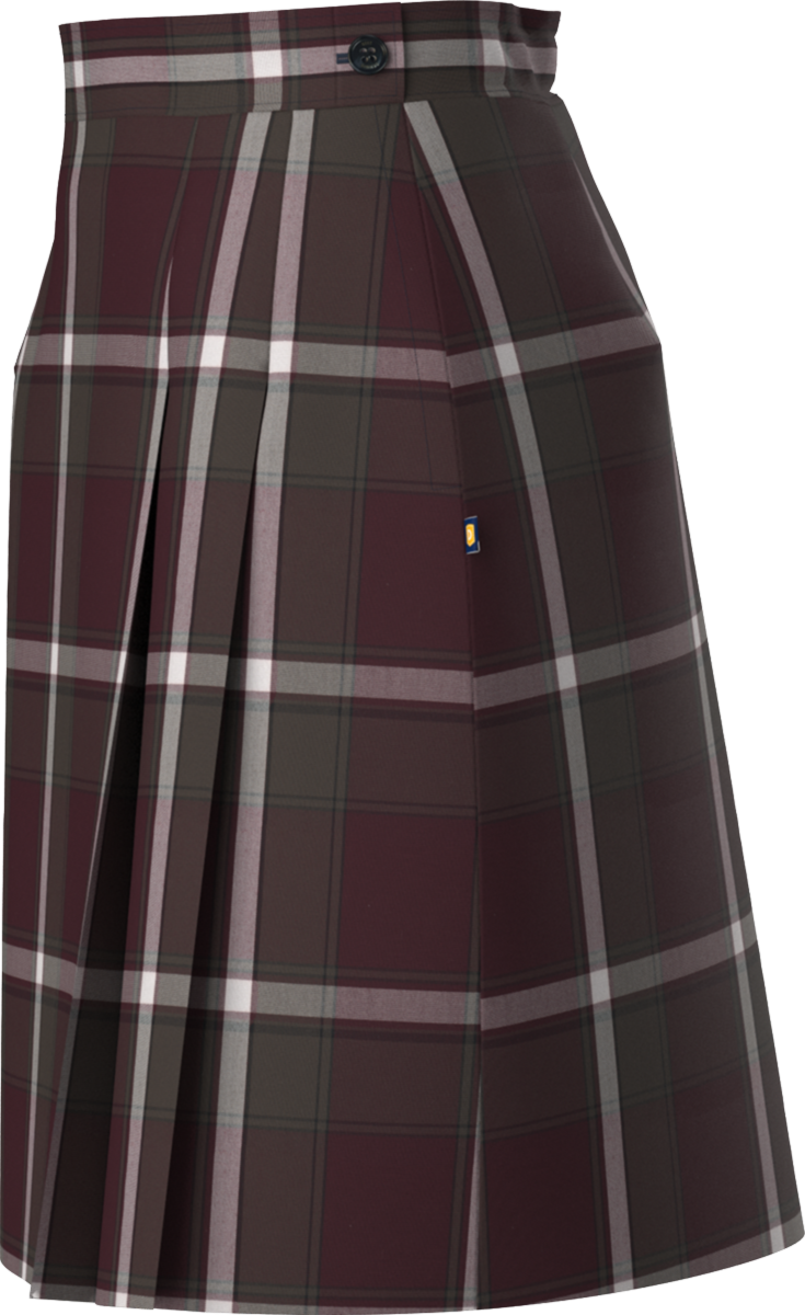 Side Pleat Skort