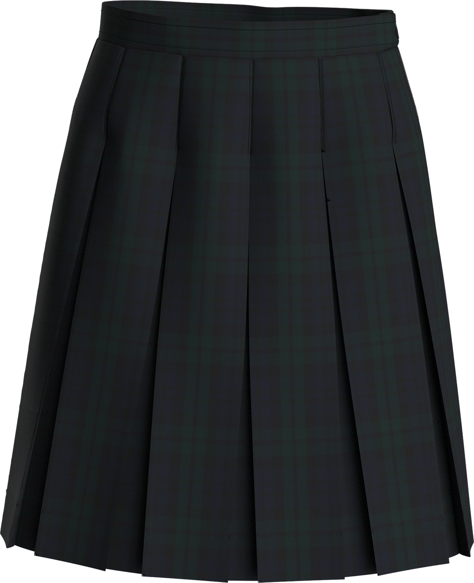 エムミーエメ Check box pleats skirt NAVY 018220-215-185_0_8d16f80c-632c