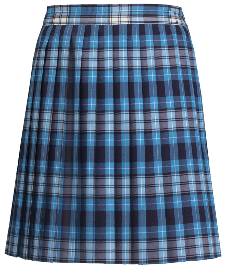 Knife Pleat Skirt