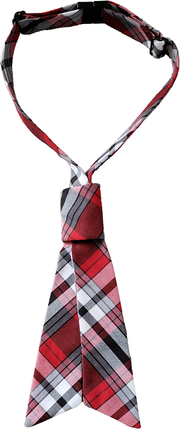 Breakaway Tie