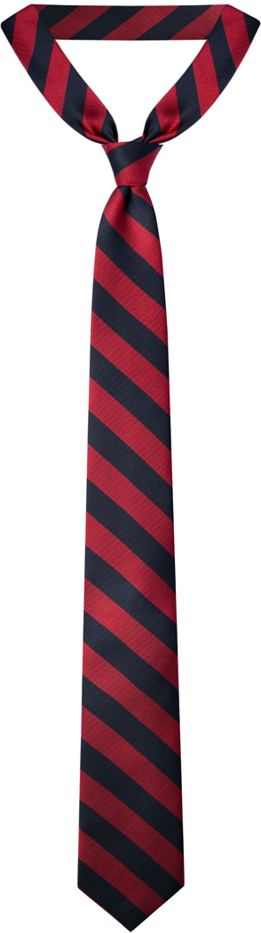 Traditional Necktie