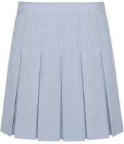 Stitched-Down Box Pleat Skirt
