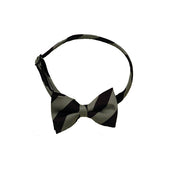 Pre-Tied Bow Tie