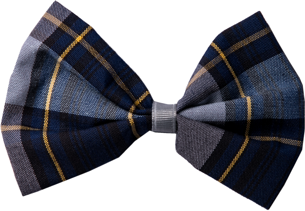 Hair Bow