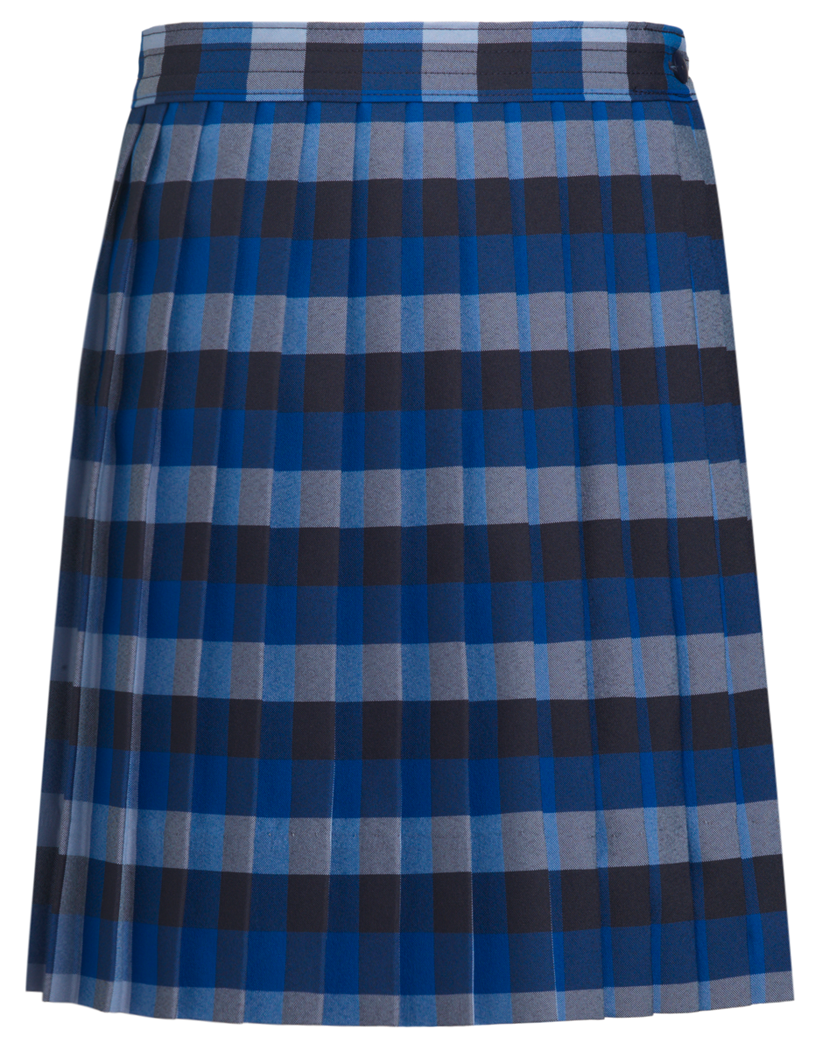 Knife Pleat Skirt